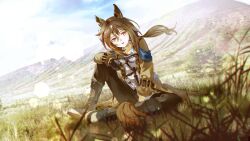 stay gold (sunlit outsider) (umamusume) from umamusume