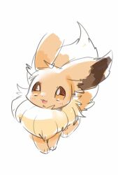 eevee from pokemon