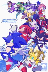 amy rose from sonic (series)