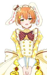 hoshizora rin from love live!