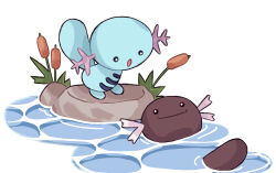 paldean wooper from pokemon