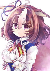 meisho doto (umamusume) from umamusume