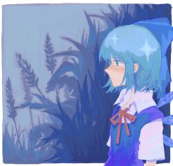 cirno from touhou