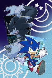 sonic the hedgehog from sonic (series)