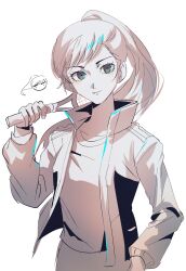 iwasaki rio from persona