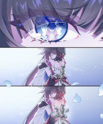 columbina (genshin impact) from genshin impact