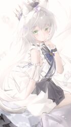 infection monitor (arknights) from arknights