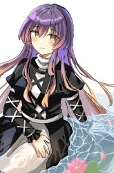 hijiri byakuren from touhou