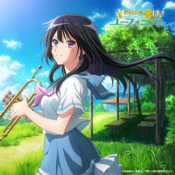 kousaka reina from hibike! euphonium