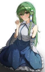 kochiya sanae from touhou