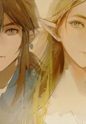 link from the legend of zelda