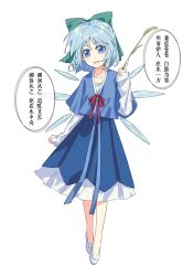 cirno from touhou