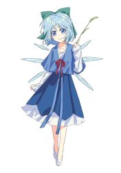 cirno from touhou