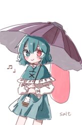 tatara kogasa from touhou