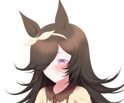 rice shower (umamusume) from umamusume