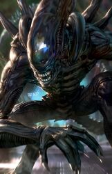 xenomorph from alien (series)