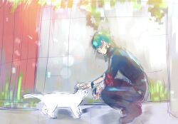 grimms notes fan art