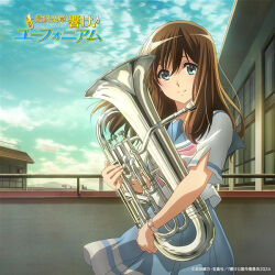 hibike! euphonium fan art