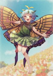 eternity larva from touhou