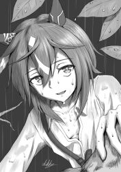 stay gold (sunlit outsider) (umamusume) from umamusume
