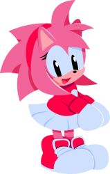 amy rose from sonic (series)
