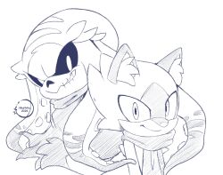 duo the cat (sonic) from sonic (series)