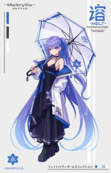 meltryllis (fate) from fate/extra