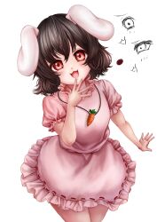 inaba tewi from touhou
