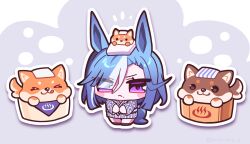 admire groove (umamusume) from umamusume