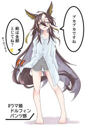 dream journey (umamusume) from umamusume