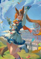 tokai teio (umamusume) from umamusume