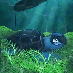 tirtouga from pokemon