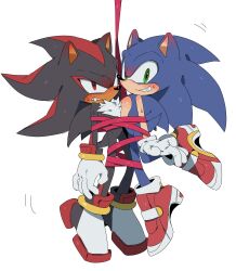 shadow the hedgehog from sonic (series) by unneul