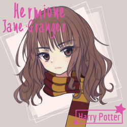 hermione granger from harry potter (series)