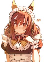 buena vista (umamusume) from umamusume