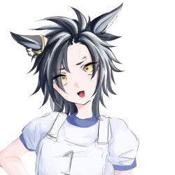 air shakur (umamusume) from umamusume