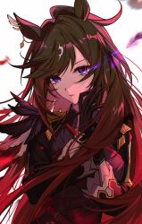 duramente (umamusume) from umamusume