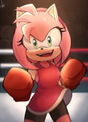 amy rose from sonic (series)