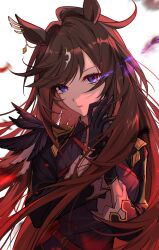 duramente (umamusume) from umamusume