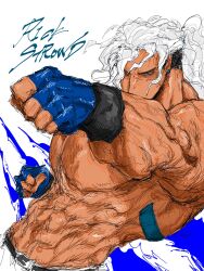 fatal fury fan art