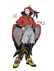 talonflame from pokemon