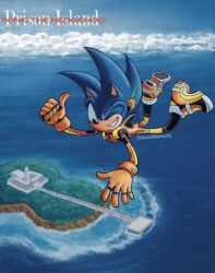 sonic the hedgehog from sonic (series)