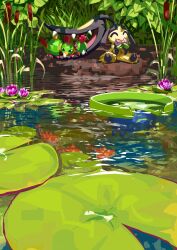 lotad from pokemon
