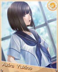 yukino akira from love plus