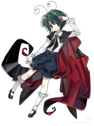 wriggle nightbug from touhou