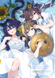 cheval grand (umamusume) from umamusume