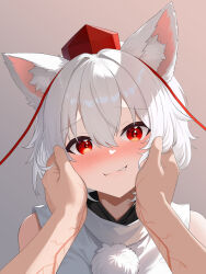 inubashiri momiji from touhou