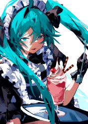 hatsune miku from vocaloid