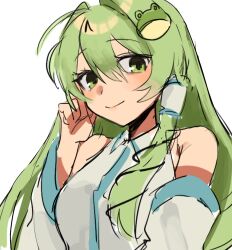 kochiya sanae from touhou
