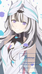 veyle (fire emblem) from fire emblem